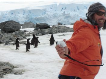 Image: Guy dances with penguins